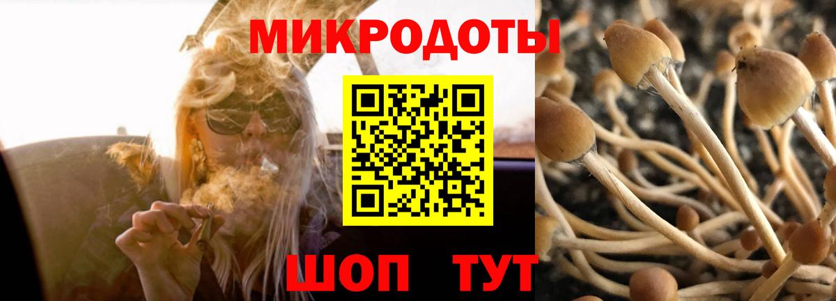 купить закладку  Вход с VPN  Корсаков  Псилоцибиновые грибы Psilocybe 